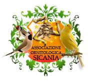 logo-associazione- sicilia- FEO. PICCOLO.jpg